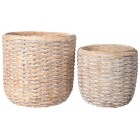 Basket Weave Terra Cotta Planters - Set of 2